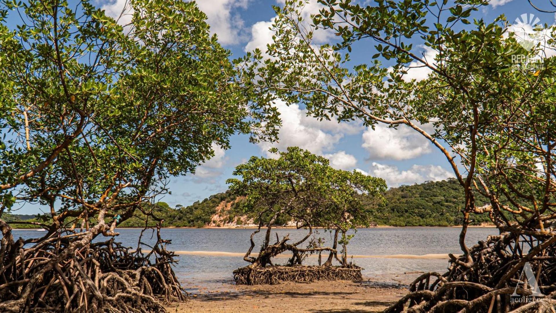 Hotel Pousada Recanto Sol Nascente, Luxo E Proximidade Com A Natureza à Rio Formoso Extérieur photo